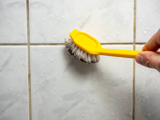 Best Residential Mold Removal  in Penitas, TX